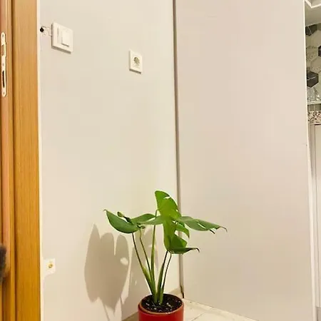 Apartment Sisli Osmanbey 1+1 Daire *